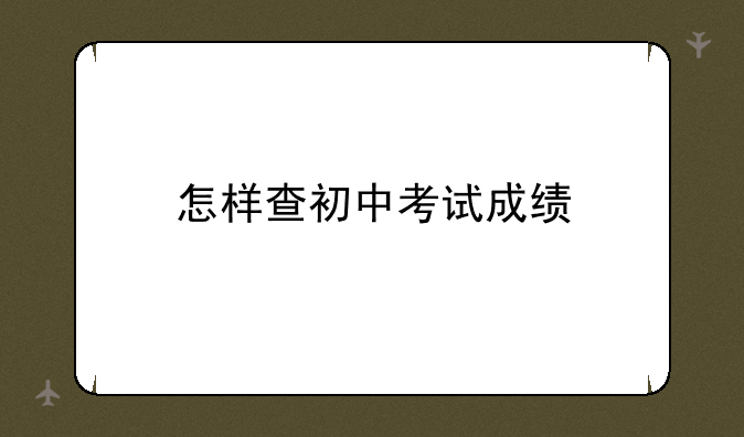 怎样查初中考试成绩