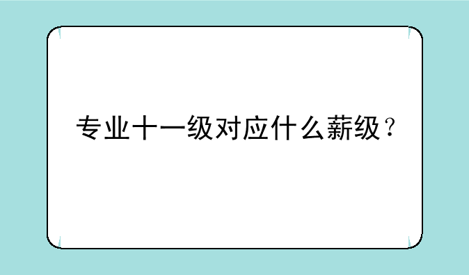 专业十一级对应什么薪级？