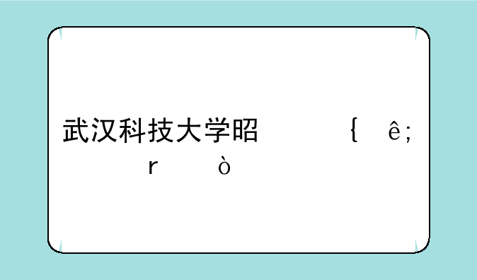 武汉科技大学是属于几本？
