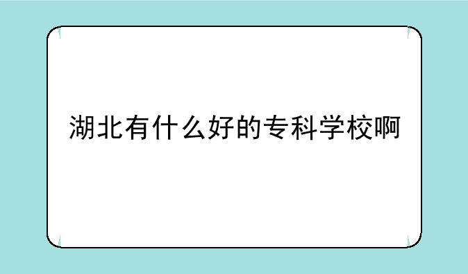 湖北有什么好的专科学校啊